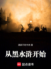 从黑水浒开始
